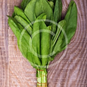 Sorrel bunch on a wooden table