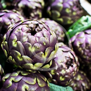 foodiesfeed.com_purple-artichoke