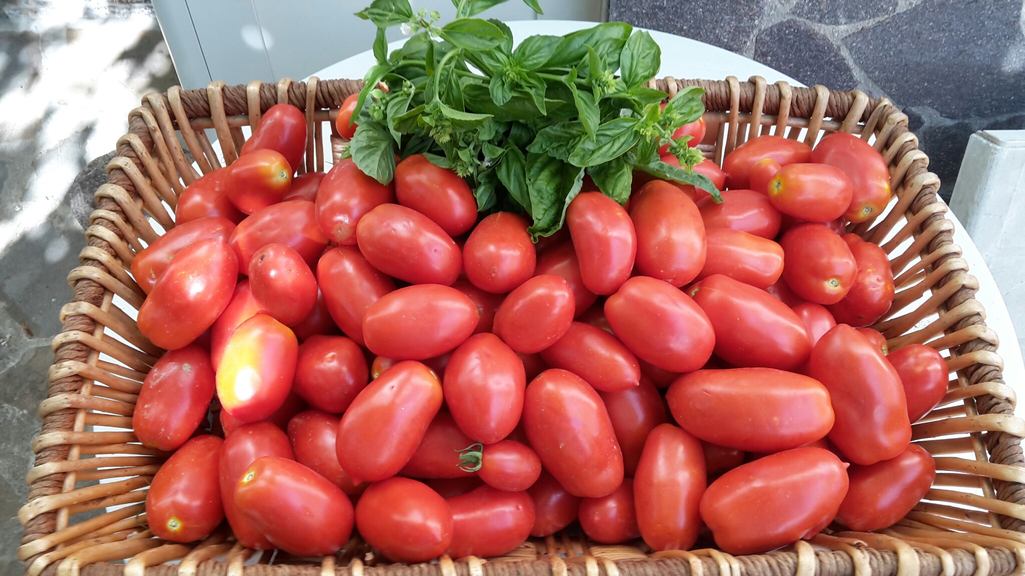 Pomodori San Marzano LOL