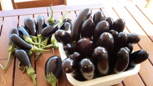 melanzane